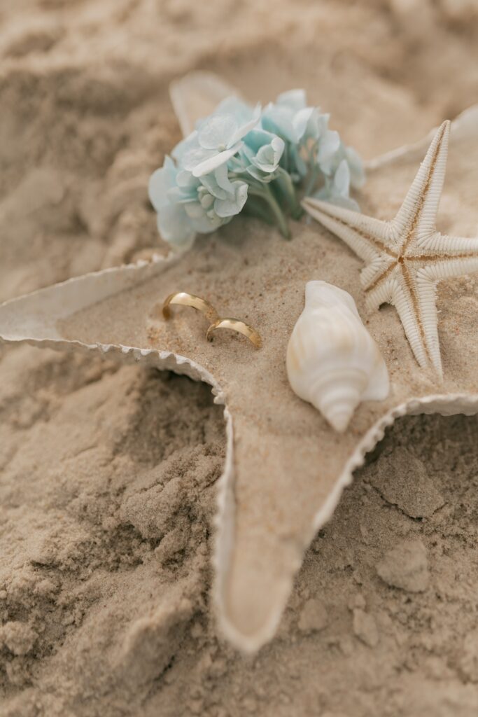 Beach wedding rings resting inside a seashell with a starfish and blue flowers in Crete, styled by Wed-Space.